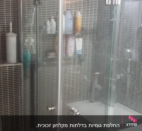 מקלחון זכוכית עם בקבוקי שמפו ומרכך על מדף